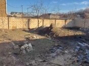 Продаётся  участок 3.5 сот, photo 3 from 4