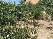 Satılır  torpaq 2 sot, Xocəsən m., photo 7 from 8