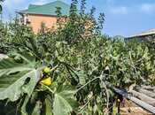 Satılır  torpaq 2 sot, Xocəsən m., photo 4 from 8