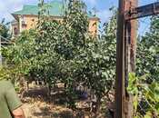 Satılır  torpaq 2 sot, Xocəsən m., photo 5 from 8