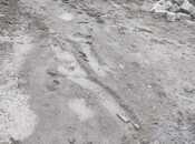 Satılır  torpaq 3 sot, Kürdəxanı q., photo 4 from 4