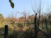 Объявление №5817629 - Тертер, Тертер, 30 сот