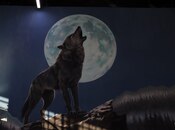 Продаётся  объект 3 000 м², Низаминский  р., photo 7 from 8