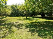 Elan №5868209 - Qəbələ, Qəbələ, 20 sot