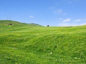 Продаётся  участок 96 сот, Кедабек р., photo 3 from 3