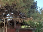 Satılır  torpaq 50 sot, Maştağa q., photo 8 from 8