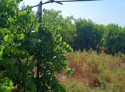 Satılır  torpaq 50 sot, Maştağa q., photo 4 from 8