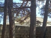 Satılır  torpaq 50 sot, Maştağa q., photo 2 from 8