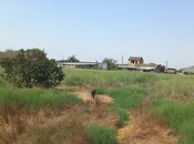 Satılır  torpaq 50 sot, Maştağa q., photo 3 from 8