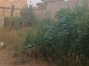 Satılır  torpaq 4 sot, Maştağa q., photo 2 from 5