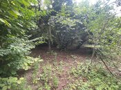 Satılır  torpaq 12 sot, photo 4 from 8