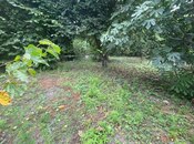 Satılır  torpaq 12 sot, photo 7 from 8