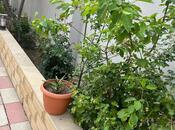 Продаётся 3-комн. дом/дача 95 м², пос. Масазыр, photo 7 from 8