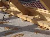 Satılır 4 otaqlı həyət evi/bağ evi 150 m², Binə q., photo 8 from 8