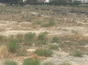 Elan №5871749 - Bakı, Məmmədli q., 230 sot