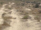 Продаётся  участок 230 сот, пос. Мамедли, photo 2 from 8