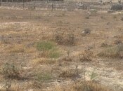 Продаётся  участок 230 сот, пос. Мамедли, photo 6 from 8