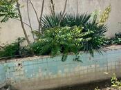 Продаётся 3-комн. дом/дача 210 м², пос. Пиршаги, photo 5 from 8