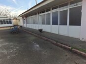 Elan №5872098 - Samux, Samux, 1600 m²