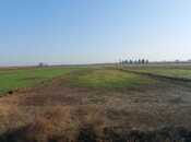 Elan №5872190 - Salyan, Salyan, 2000 sot