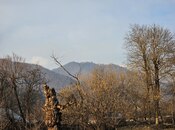 Продаётся  участок 24 сот, photo 3 from 5