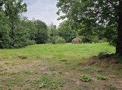 Elan №5872238 - Qəbələ, Qəbələ, 24 sot