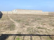 Elan №5872278 - Bakı, Albalılıq q., 8 sot