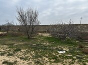 Elan №5872282 - Bakı, Nardaran q., 12 sot