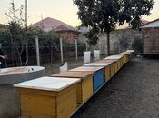 Объявление №5872284 - Ленкорань, Ленкорань, 5-комн., 250 м²