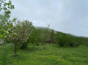 Elan №5872296 - Qəbələ, Qəbələ, 3 sot