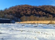 Elan №5872332 - Qəbələ, Qəbələ, 19 sot