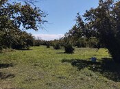 Satılır  torpaq 70 sot, photo 2 from 5