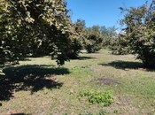 Satılır  torpaq 70 sot, photo 3 from 5