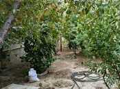 Продаётся 3-комн. дом/дача 120 м², пос. Мушфигабад, photo 3 from 8