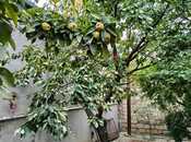 Продаётся 3-комн. дом/дача 120 м², пос. Мушфигабад, photo 5 from 8