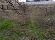 Продаётся  участок 25 сот, пос. Мардакан, photo 5 from 8