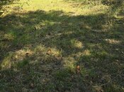 Объявление №5872525 - Исмаиллы, Исмаиллы, 22 сот