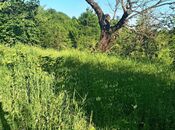 Продаётся  участок 22 сот, photo 3 from 3