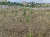 Satılır  torpaq 12 sot, photo 5 from 8