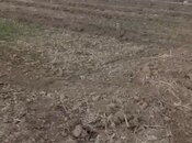 Объявление №5872569 - Товуз, Товуз, 27 сот