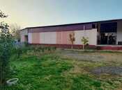 Объявление №5872604 - Гах, Гах, 5000 м²