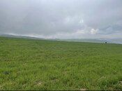 Satılır  torpaq 4 sot, photo 2 from 2