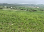 Elan №5872649 - Şamaxı, Şamaxı, 4 sot