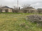 Продаётся  участок 46 сот, пос. Бина, photo 4 from 8