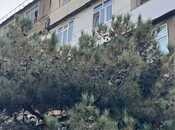 Elan №5872767 - Bakı, Badamdar q., 2 otaqlı, 57 m², 3/5 mərtəbə