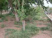 Satılır 4 otaqlı həyət evi/bağ evi 100 m², Zirə q., photo 2 from 8