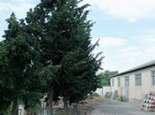 Продаётся  объект 1 500 м², photo 6 from 8