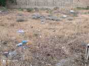 Объявление №5874092 - Баку, пос. Бадамдар, 60 сот