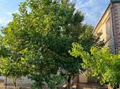 Satılır 7 otaqlı həyət evi/bağ evi 260 m², Görədil q., photo 5 from 8