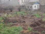 Объявление №5874351 - Баку, пос. Бадамдар, 6.5 сот